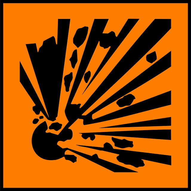 hazardous tree removal lewisville tx