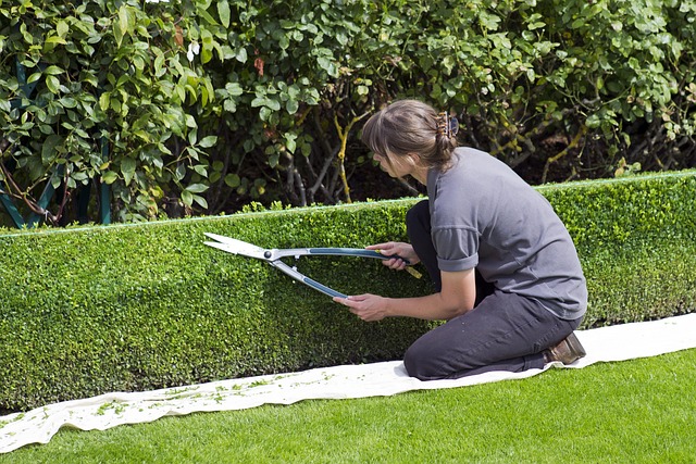 landscaping-640x480-31954688.jpeg
