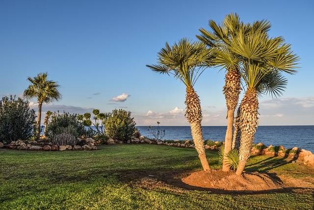 landscaping-640x480-68963182.jpeg