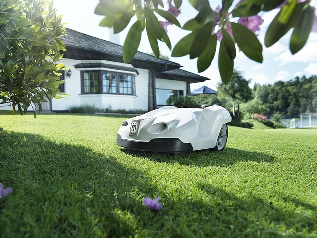 lawn
