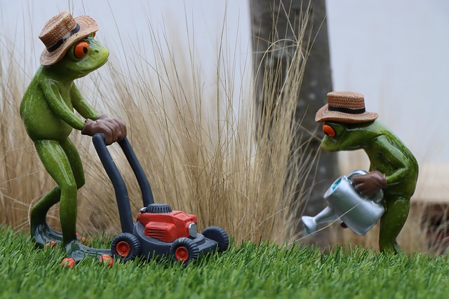 lawn-640x480-16492671.jpeg