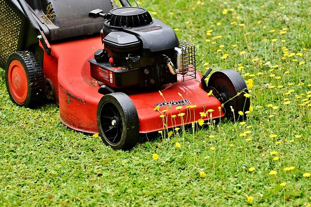 lawn-640x480-17782470.jpeg