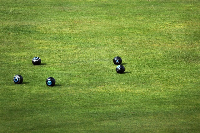lawn-640x480-33755154.jpeg