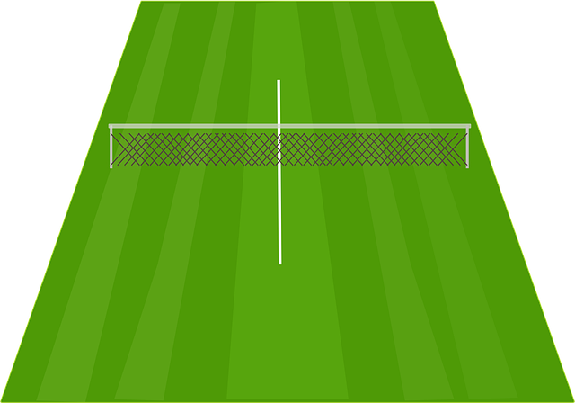 lawn