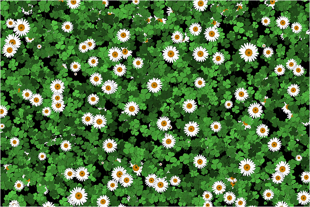 lawn-640x480-5030335.png