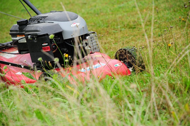 lawn-640x480-62401466.jpeg