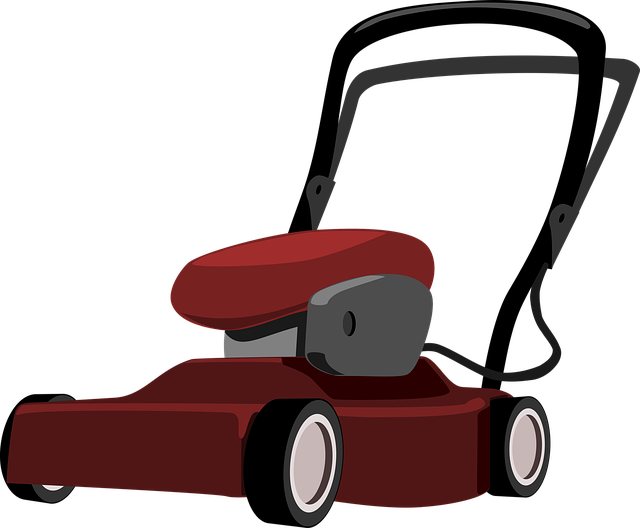 lawn