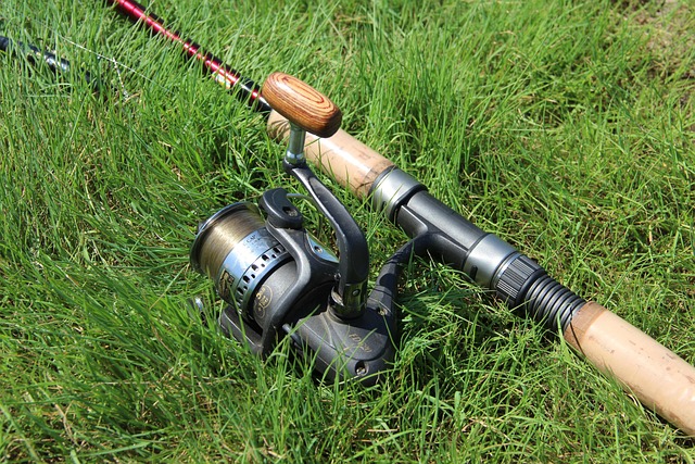 lawn-640x480-72879612.jpeg