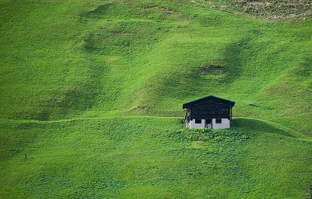 lawn