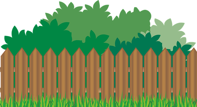lawn