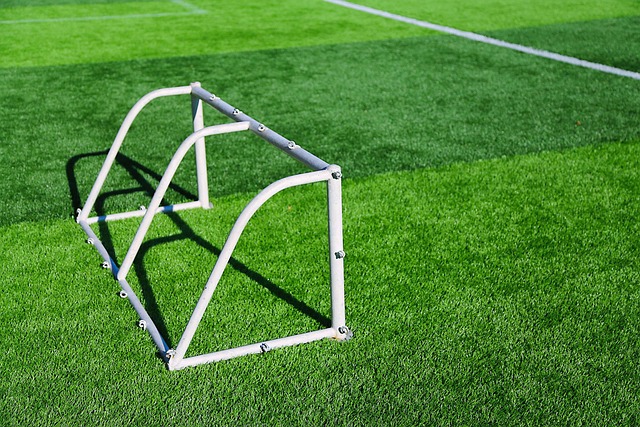 lawn-640x480-78645240.jpeg