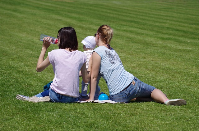 lawn