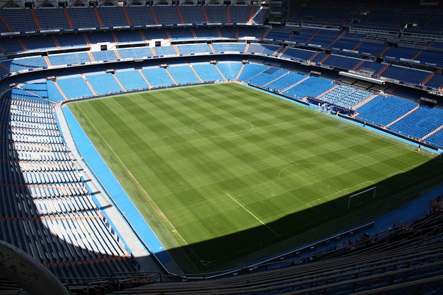 lawn-640x480-86088856.jpeg