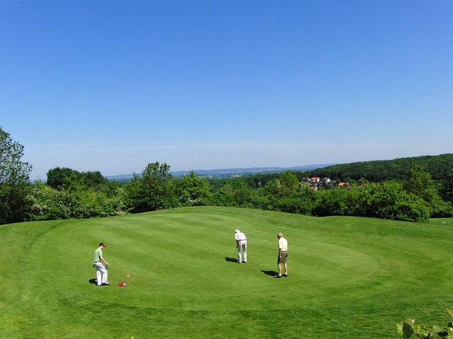 lawn