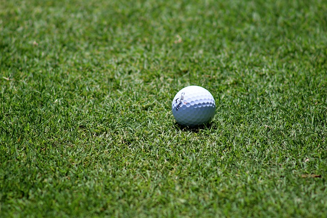 lawn