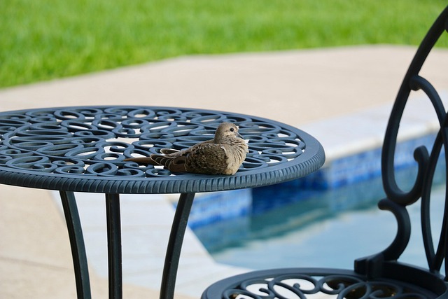 patio-640x480-3422676.jpeg
