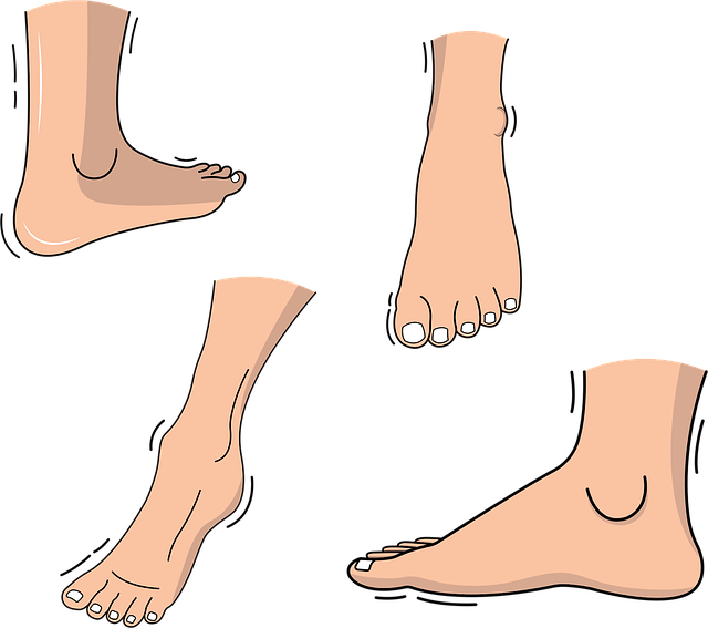 personal-injury-law-640x480-8159293.png