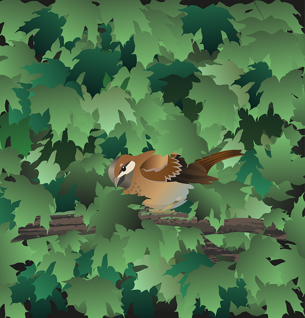 tree