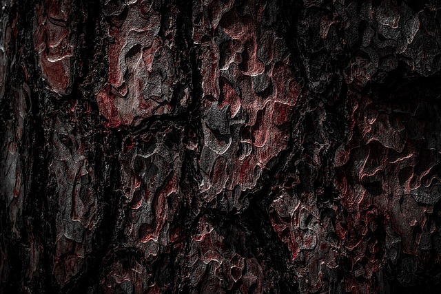 tree-640x480-48465326.jpeg