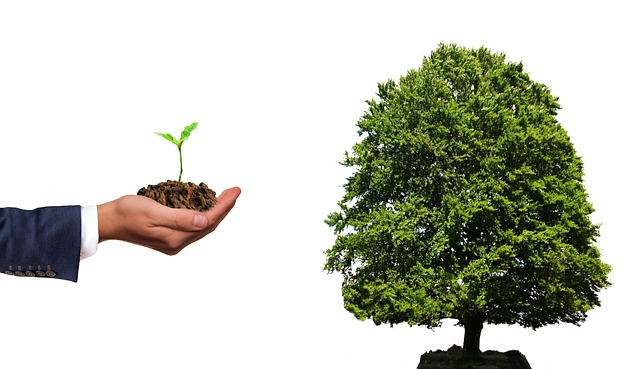 tree care lewisville tx
