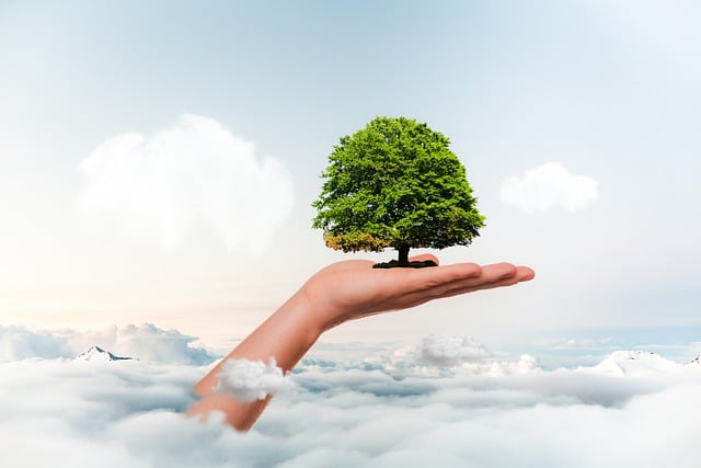 Sustainable Tree Care in Lewisville TX: Nurturing Urban Greens for a Healthier Future