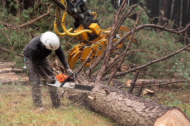 tree care lewisville tx