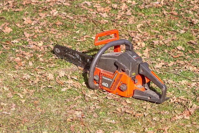 tree-pruning-carrollton-tx-640x480-22560264.jpeg