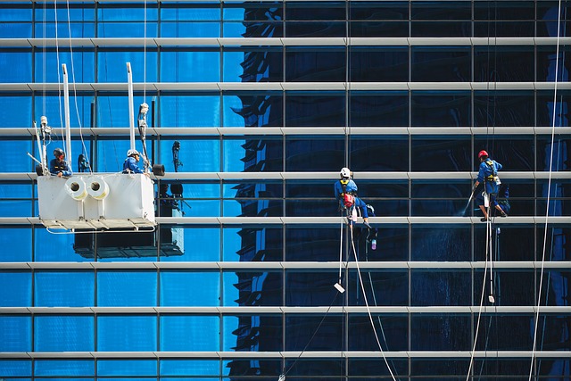 tree service carrollton tx