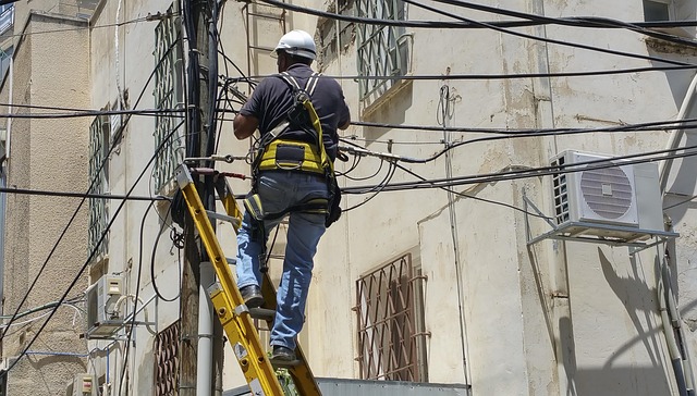 tree service carrollton tx