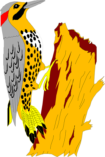 tree-stump-640x480-42661346.png