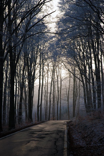 trees
