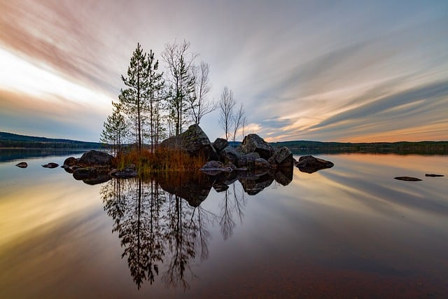 trees-640x480-85531953.jpeg