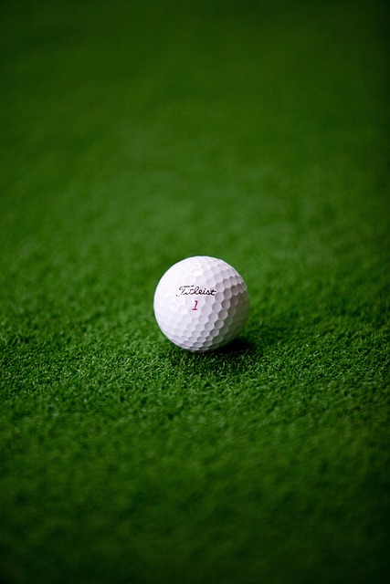 artificial turf