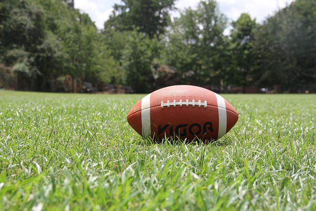 artificial turf