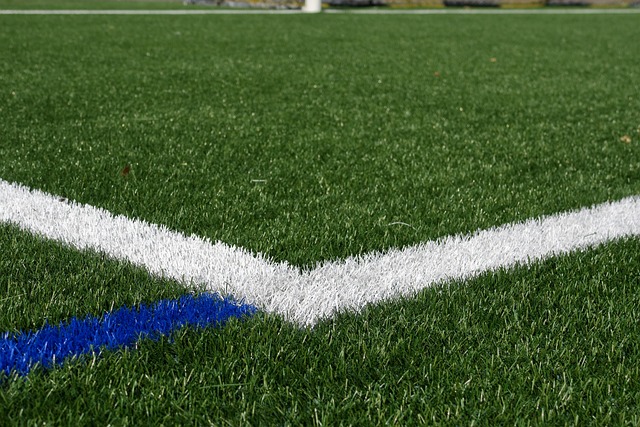 Transform Portland OR Landscaping with Custom Synthetic Turf Installation