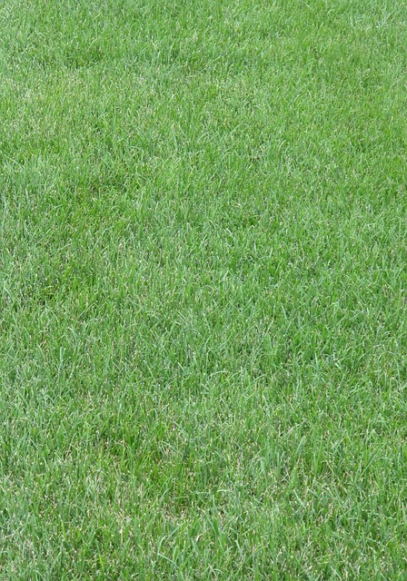 Transform Your Portland Yard with High-End Artificial Turf Installation
