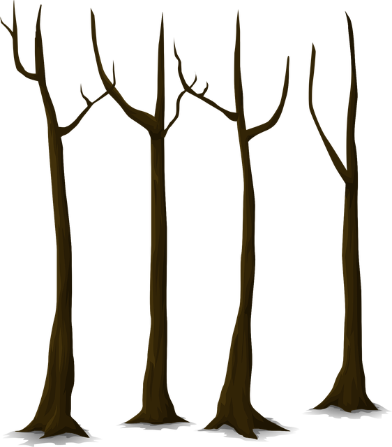 dead-tree-removal-carrollton-tx-640x480-52985328.png