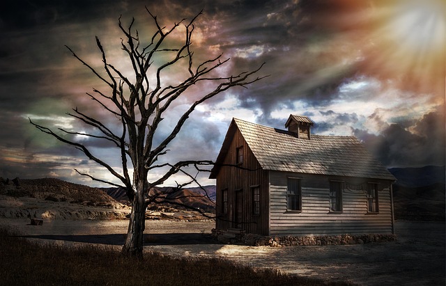 dead tree removal carrollton tx