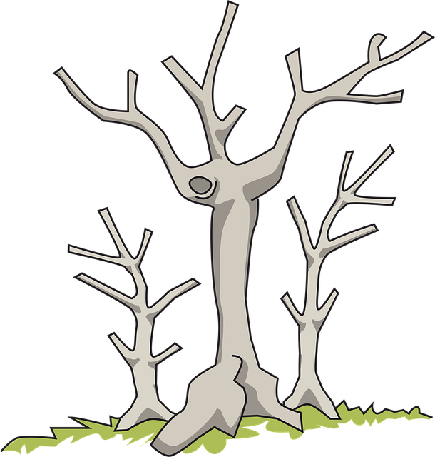 dead-tree-removal-lewisville-tx-640x480-19243007.png