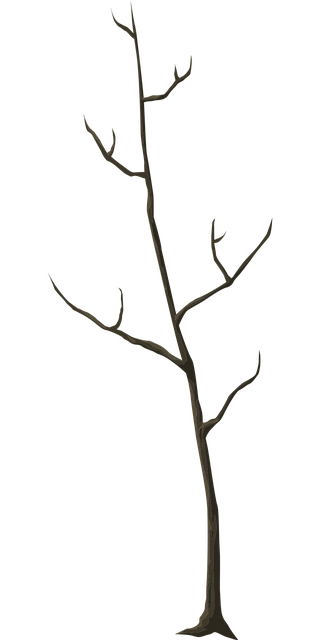 dead tree removal lewisville tx