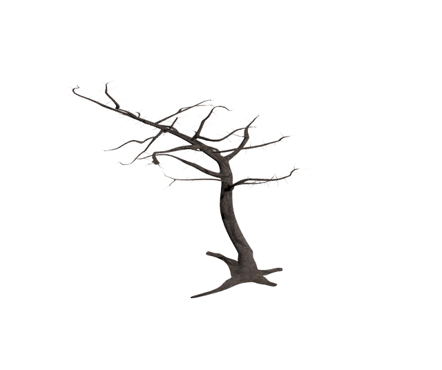 dead tree removal lewisville tx