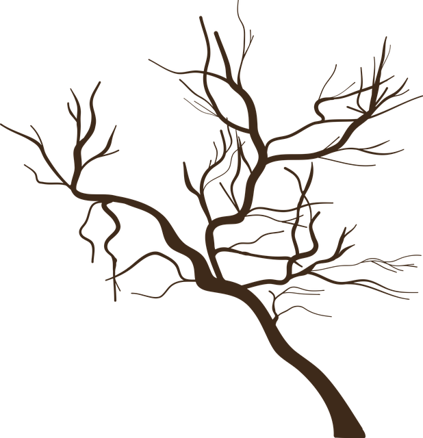 dead-tree-removal-lewisville-tx-640x480-97319890.png