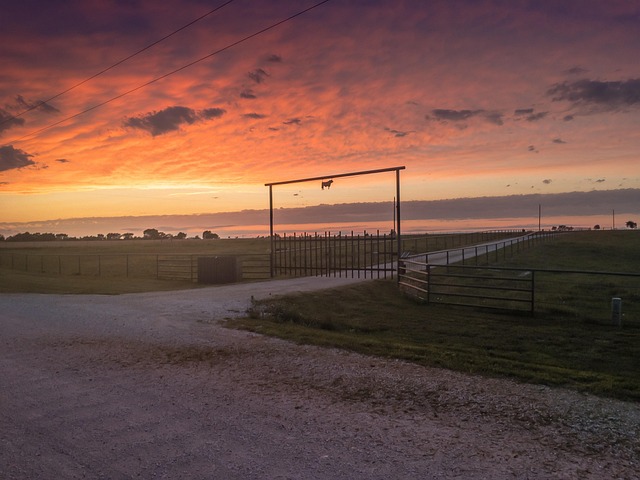 Elevate Your Keller TX Home with Custom Concrete Driveway Design