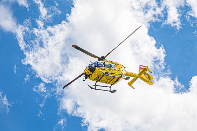 Emergency Tree Removal Lewisville TX: Quick & Safe Solutions