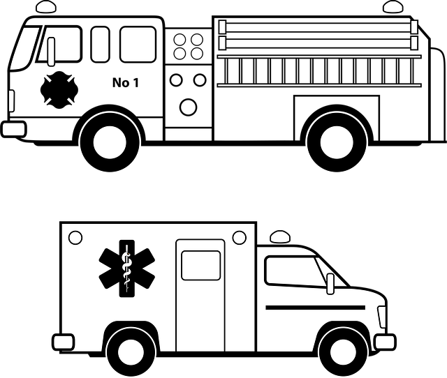 emergency-tree-removal-lewisville-tx-640x480-18276264.png