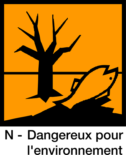 hazardous tree removal lewisville tx