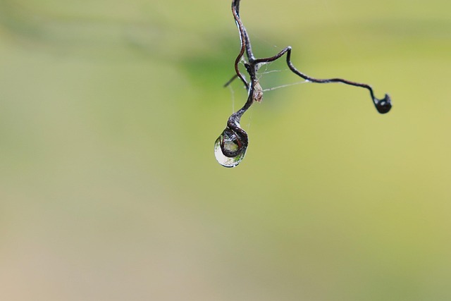 iv-drip-640x480-40017395.jpeg