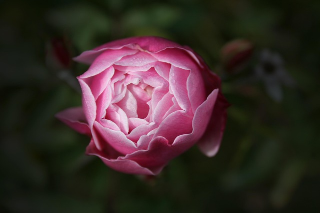 landscaping-640x480-70676807.jpeg