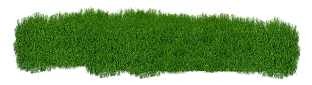 landscaping-640x480-96867263.png