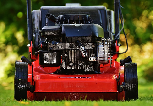lawn-640x480-29736348.jpeg